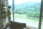 A peer out of the window. Click to enlarge.