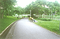 The "Park" next to my home. Click to enlarge.