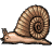 A snail